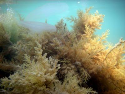 Прикрепленное изображение: -IXNNUyC_eQ.jpg